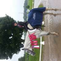 Horse Show Photos